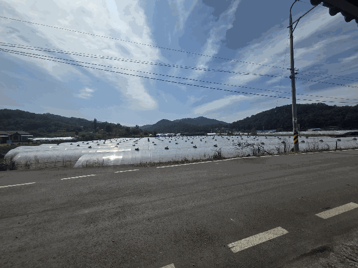 경상북도 성주군 용암면 동락리 798-1 답 경매 사진 16