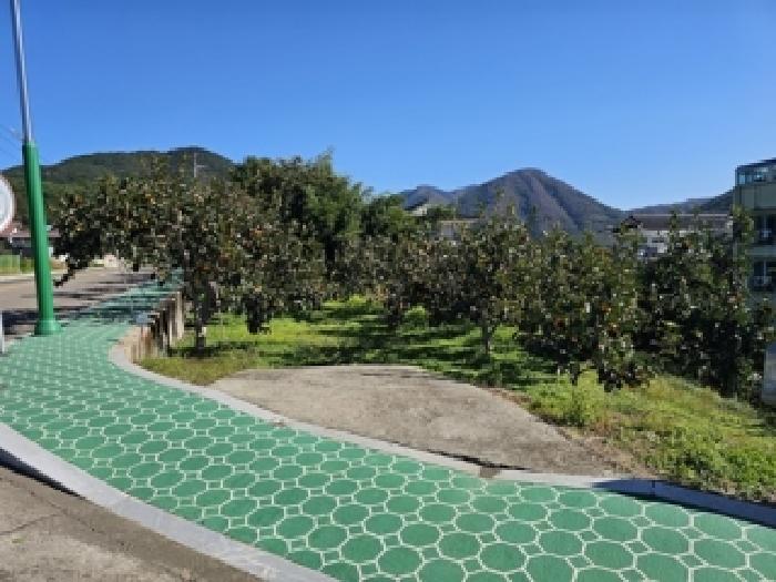 경상남도 산청군 시천면 사리 693-2 전 경매 사진 10