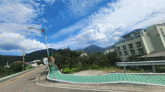 경상남도 산청군 시천면 사리 693-2 전 경매 사진 14