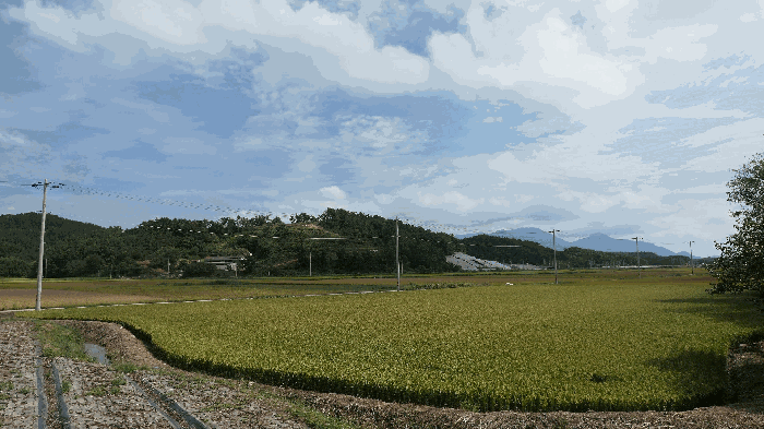 경상남도 사천시 서포면 선전리 328-1 답 경매 사진 10