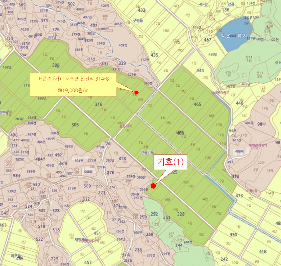경상남도 사천시 서포면 선전리 328-1 답 경매 사진 14