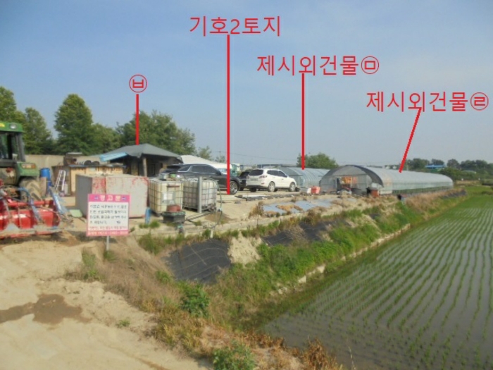 충청북도 음성군 대소면 성본리 483 답 경매 사진 59