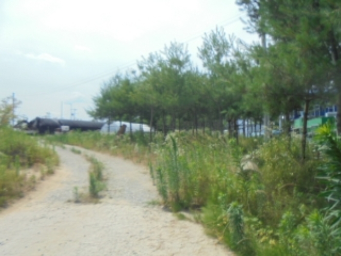 충청북도 음성군 대소면 성본리 577-2 전 경매 사진 47
