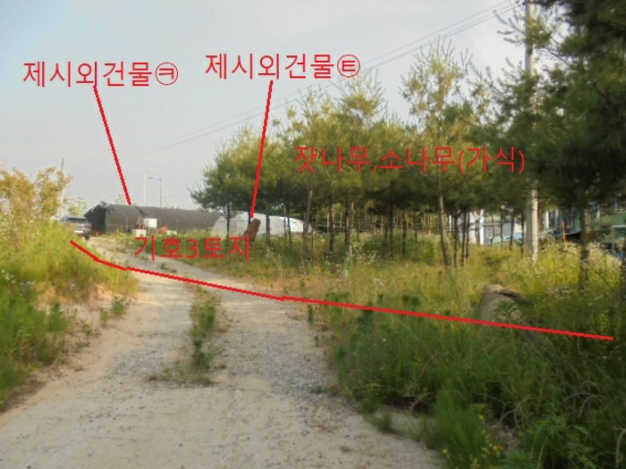 충청북도 음성군 대소면 성본리 577-2 전 경매 사진 50