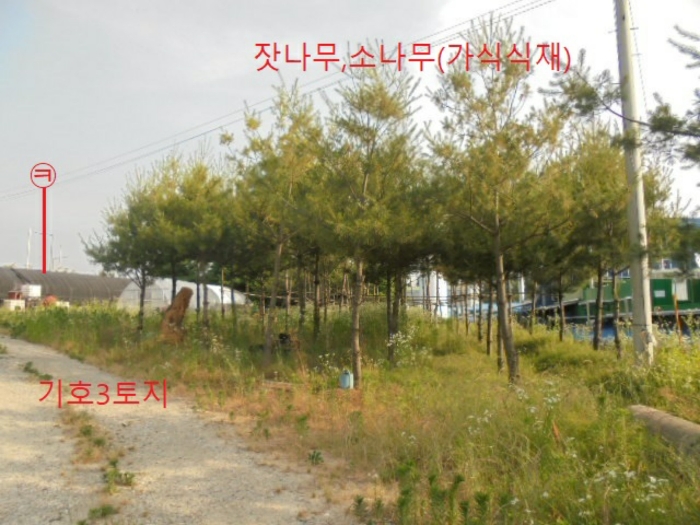 충청북도 음성군 대소면 성본리 577-2 전 경매 사진 52
