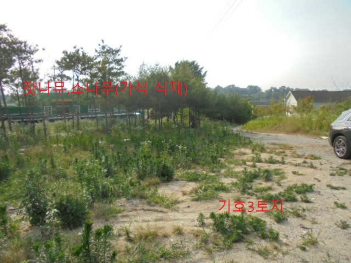 충청북도 음성군 대소면 성본리 577-2 전 경매 사진 53