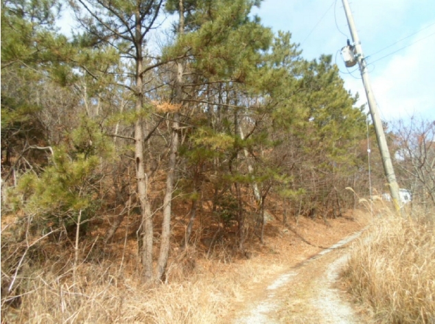 전라남도 해남군 송지면 서정리 212-3 잡종지 경매 사진 14