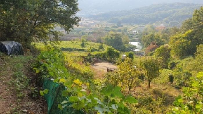 경상남도 김해시 주촌면 덕암리 55 공장용지 경매 사진 16