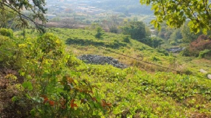 경상남도 김해시 주촌면 덕암리 55 공장용지 경매 사진 17