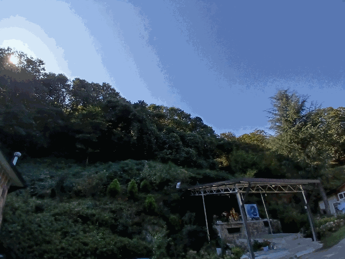 전라남도 구례군 간전면 양천리 1-2 전 경매 사진 14