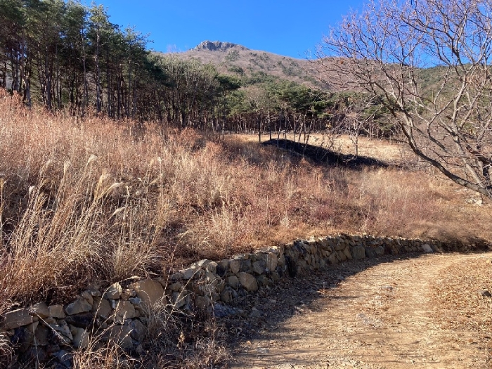 경상남도 함안군 여항면 주서리 1094 전답 경매 사진 2