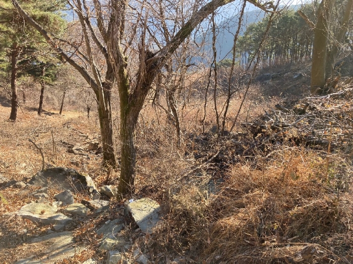 경상남도 함안군 여항면 주서리 1094 전답 경매 사진 3