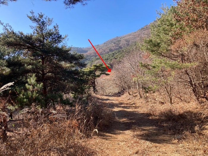 경상남도 함안군 여항면 주서리 1094 전답 경매 사진 5