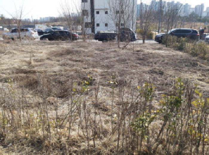 경기도 평택시 고덕동 2424-1 대지 경매 사진 1