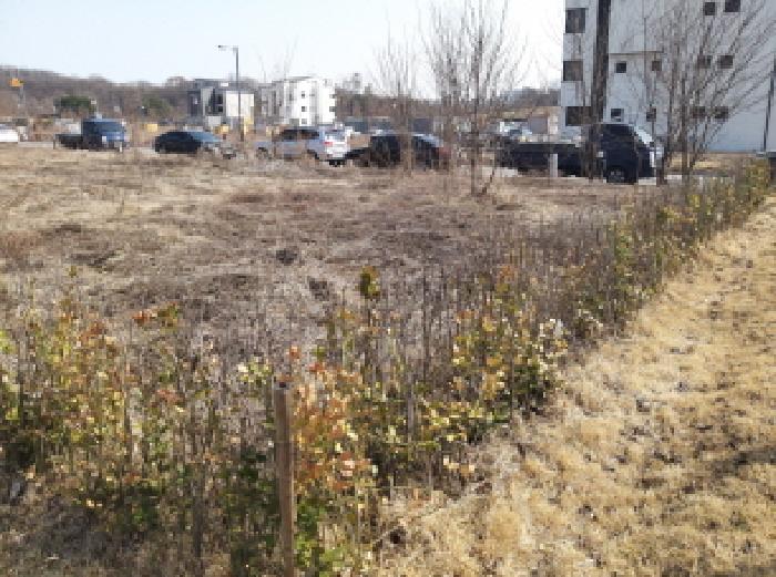 경기도 평택시 고덕동 2424-1 대지 경매 사진 2
