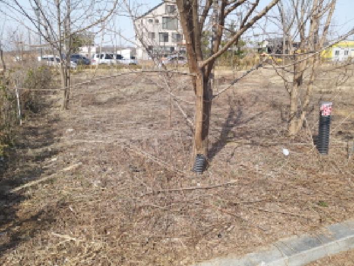 경기도 평택시 고덕동 2424-1 대지 경매 사진 3
