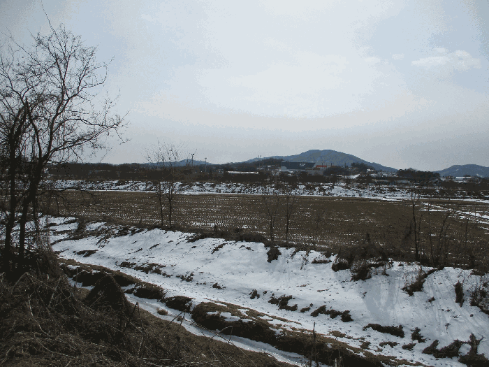 경기도 안성시 일죽면 능국리 221-20 답 경매 사진 4