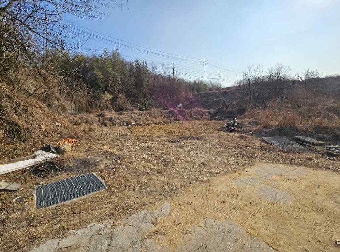 경상북도 김천시 구성면 하강리 424 대지 경매 사진 8