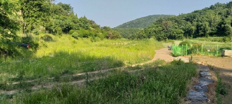 충청북도 옥천군 군서면 월전리 375 답 경매 사진 26