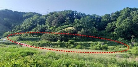 충청북도 옥천군 군서면 월전리 375 답 경매 사진 27