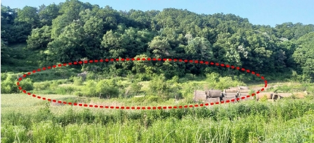 충청북도 옥천군 군서면 월전리 375 답 경매 사진 28