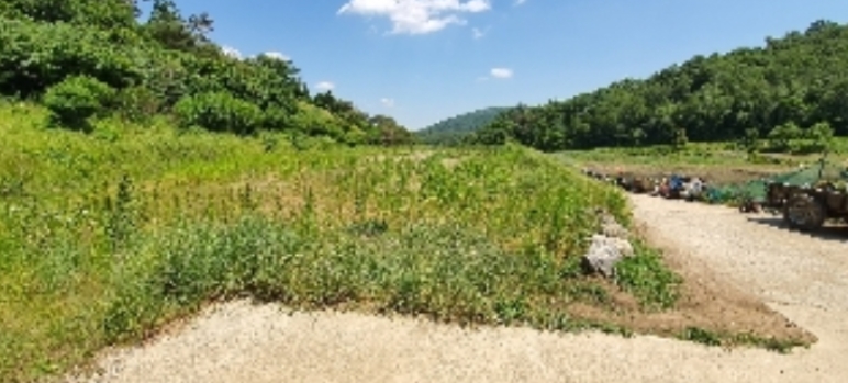 충청북도 옥천군 군서면 월전리 375 답 경매 사진 29