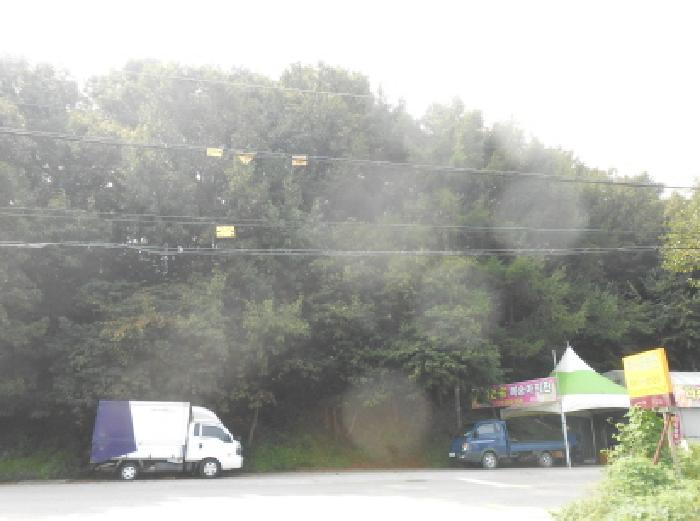 세종특별자치시 연서면 국촌리 산34-7 임야 경매 사진 1