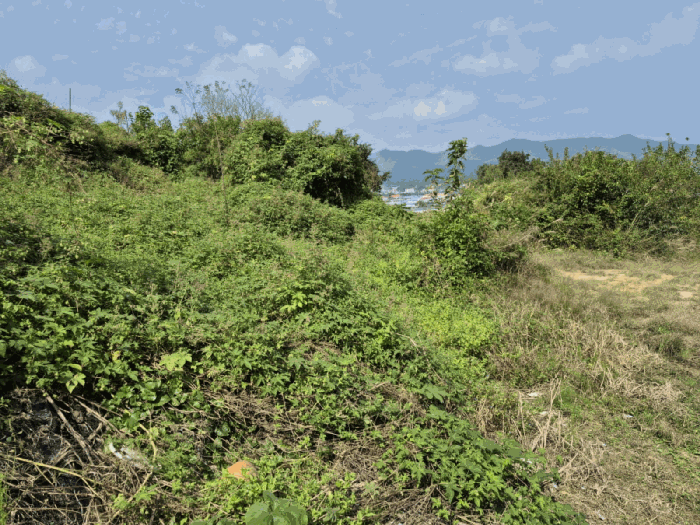 충청남도 금산군 추부면 추정리 19-1 전 경매 사진 31