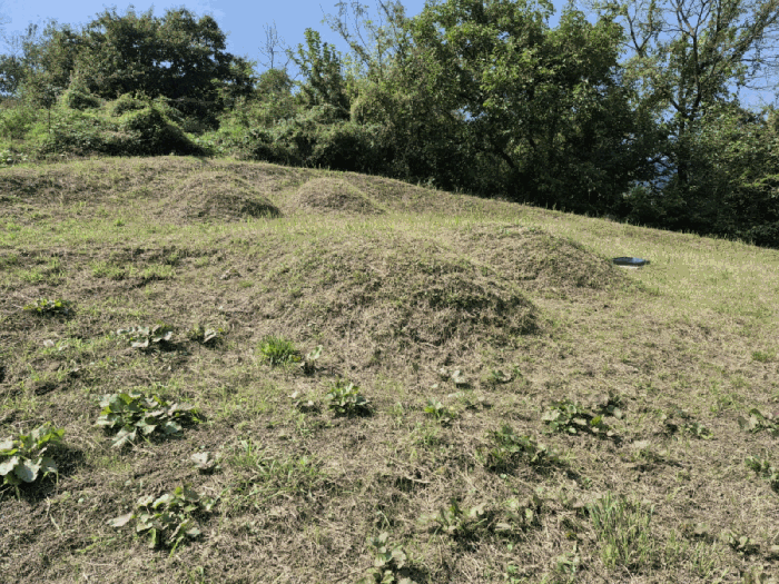충청남도 금산군 추부면 추정리 19-1 전 경매 사진 32