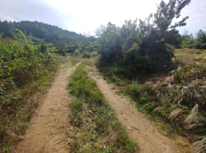 충청남도 금산군 추부면 추정리 19-1 전 경매 사진 24