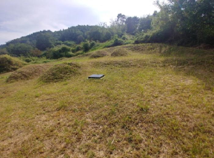 충청남도 금산군 추부면 추정리 19-1 전 경매 사진 26