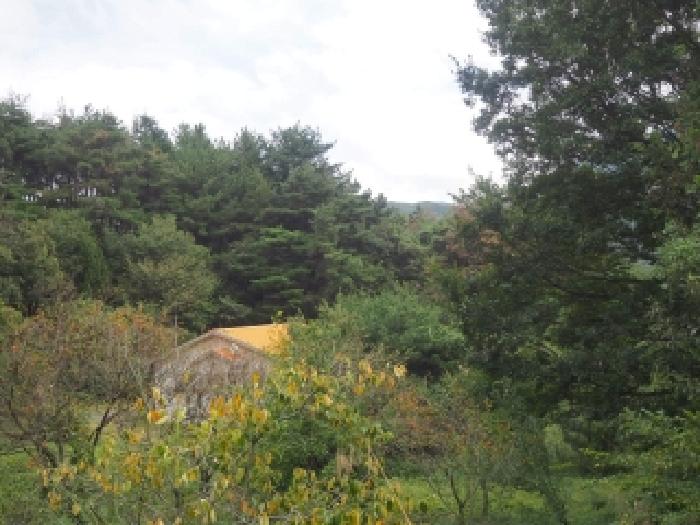 경상남도 창녕군 창녕읍 옥천리 산356 임야 경매 사진 18