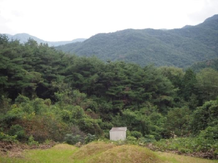 경상남도 창녕군 창녕읍 옥천리 산356 임야 경매 사진 20
