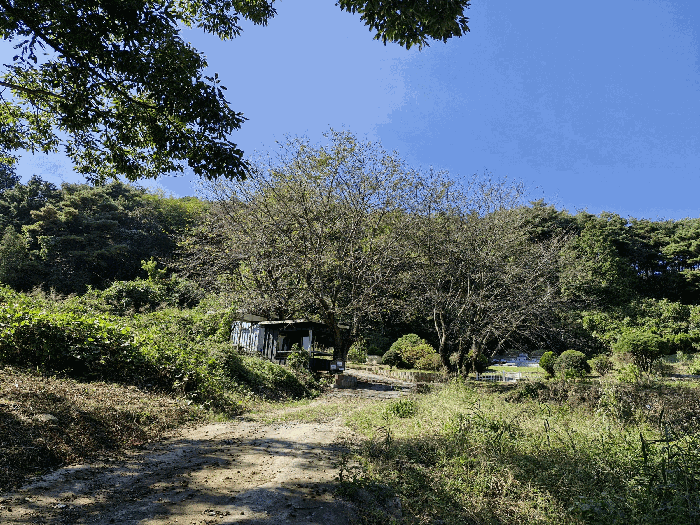 경상남도 창녕군 창녕읍 옥천리 산356 임야 경매 사진 23