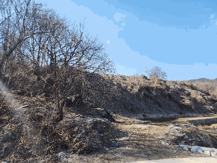 충청북도 괴산군 연풍면 삼풍리 522-3 전 경매 사진 8