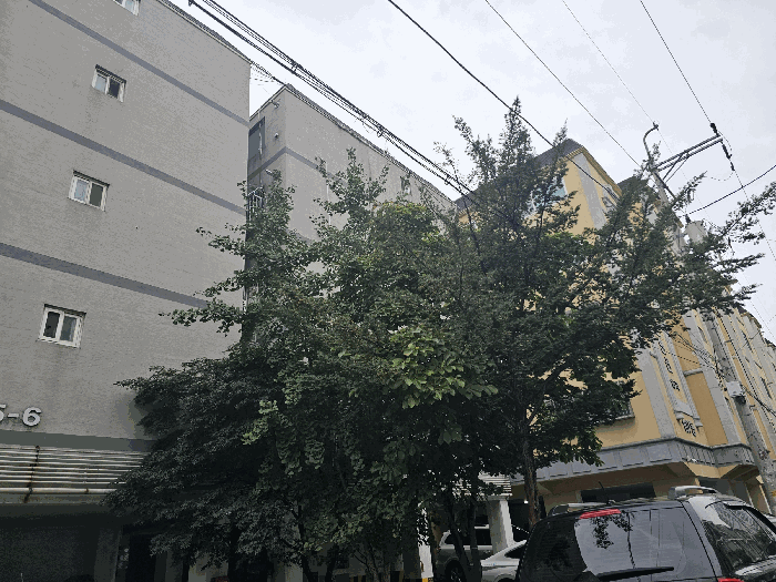 인천광역시 계양구 작전동 705-7 창선주택 3동 2층204호 다세대(빌라) 경매 사진 21