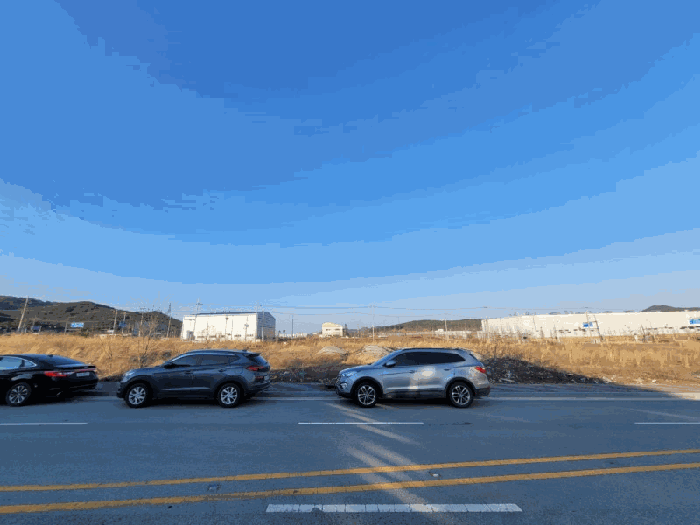 전라남도 함평군 월야면 외치리 1049 대지 경매 사진 12