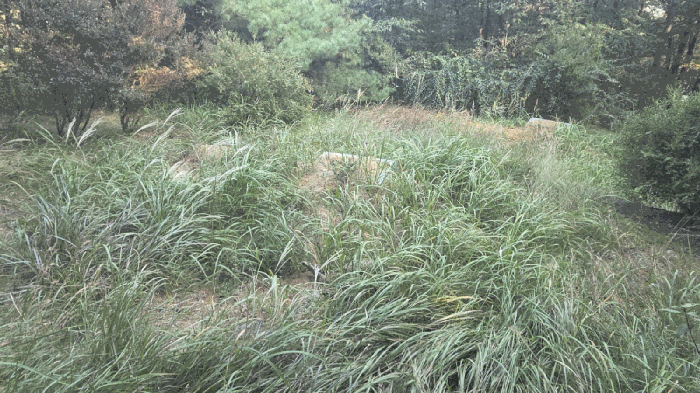 충청남도 천안시 동남구 목천읍 삼성리 산67-2 임야 경매 사진 33