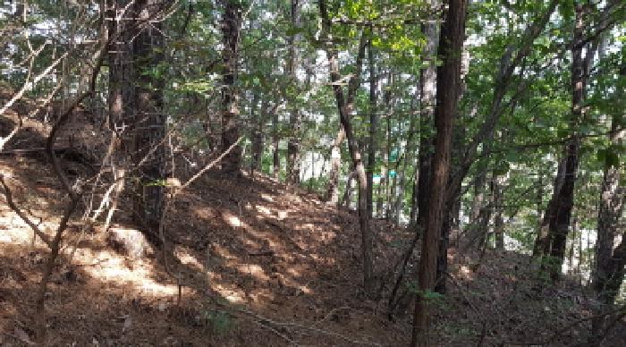 충청남도 천안시 동남구 목천읍 삼성리 산67-2 임야 경매 사진 23