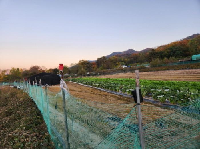 경상북도 칠곡군 북삼읍 어로리 464 전 경매 사진 16