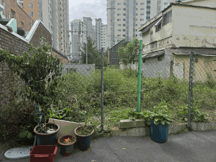 광주광역시 동구 산수동 559-71 대지 경매 사진 19