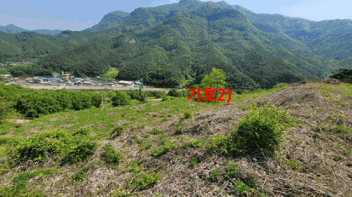 전북특별자치도 무주군 적상면 사산리 산229-10 목장용지 경매 사진 40