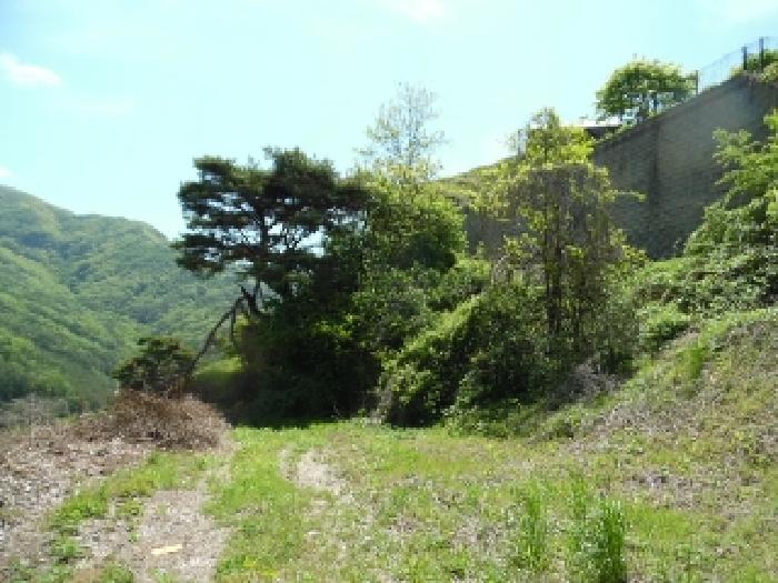 전북특별자치도 무주군 적상면 사산리 산229-10 목장용지 경매 사진 35