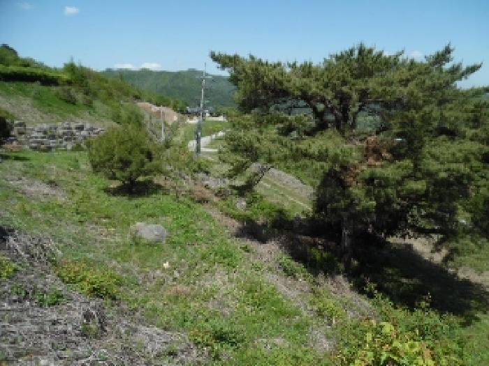 전북특별자치도 무주군 적상면 사산리 산229-10 목장용지 경매 사진 36