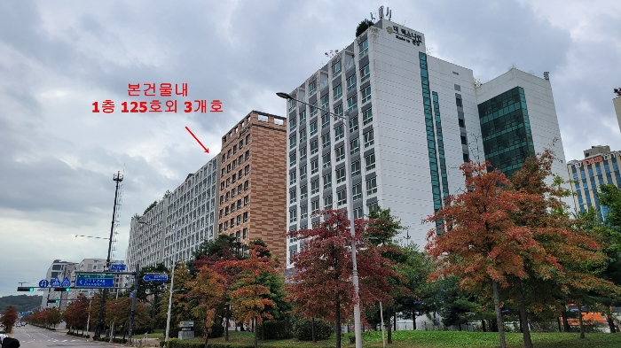 경기 김포시 구래동 6871-33, 비동 1층 126호 (구래동,김포더럭스나인오피스텔) 외 1필지 근린상가 경매 사진 16