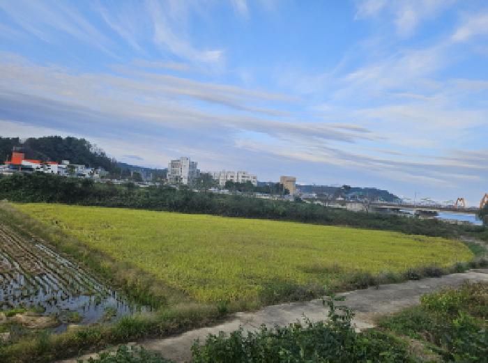 강원특별자치도 고성군 거진읍 송포리 628 답 경매 사진 15
