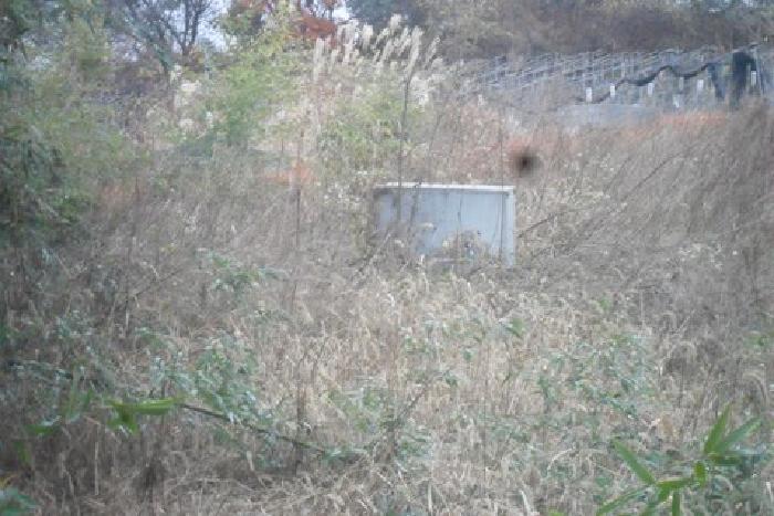 전북특별자치도 고창군 공음면 선동리 산94-1 임야 경매 사진 57