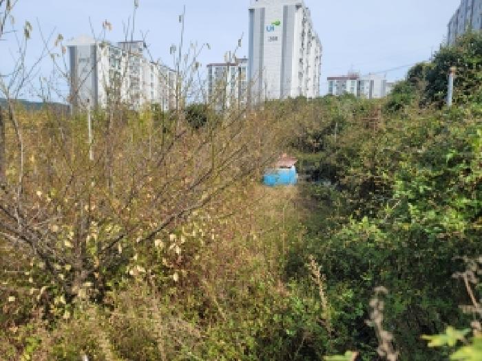경상남도 통영시 미수동 700 전 경매 사진 7
