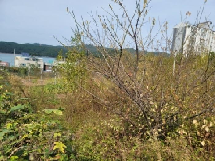 경상남도 통영시 미수동 700 전 경매 사진 8