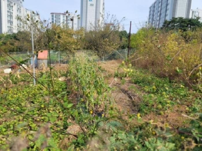 경상남도 통영시 미수동 700 전 경매 사진 9
